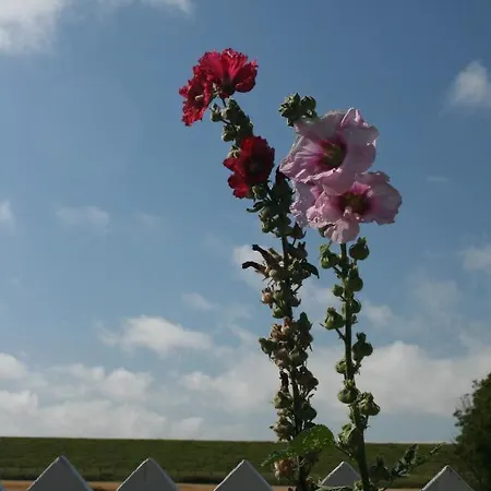 Schaeferwagen Tiny House Auf Dem Friesenhof