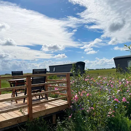 Schaeferwagen Tiny House Auf Dem Friesenhof Campsite *
