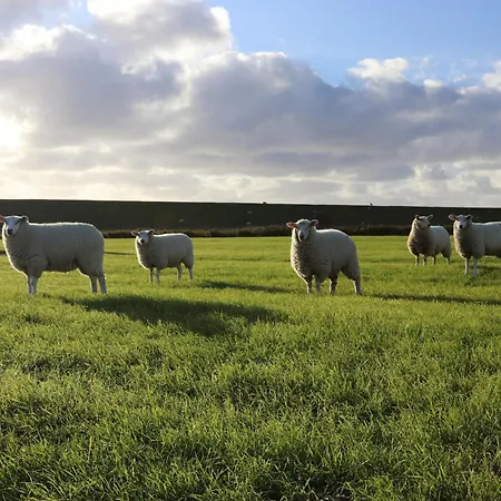 Campsite Schaeferwagen Tiny House Auf Dem Friesenhof *