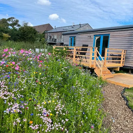 Schaeferwagen Tiny House Auf Dem Friesenhof Pellworm