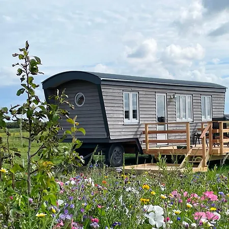 Schaeferwagen Tiny House Auf Dem Friesenhof Campsite Pellworm