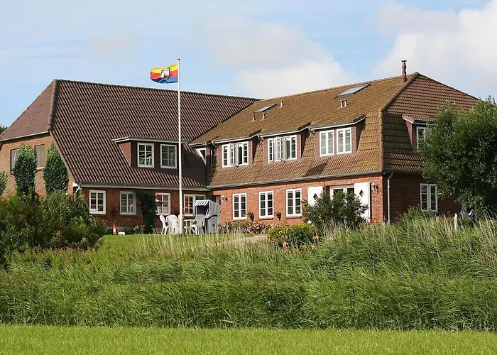 Campingplatz Schäferwagen Tiny House Auf Dem Friesenhof