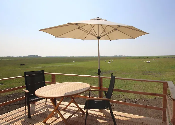 Campingplatz Schäferwagen Tiny House Auf Dem Friesenhof *