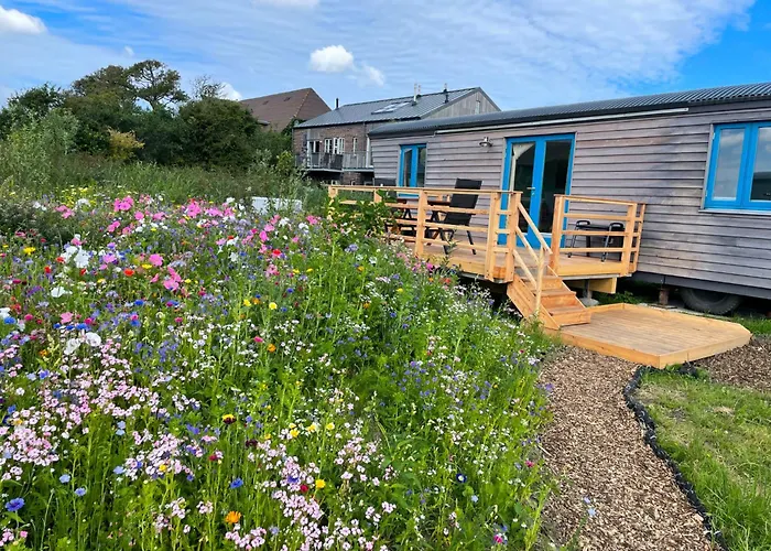 Schäferwagen Tiny House Auf Dem Friesenhof Pellworm